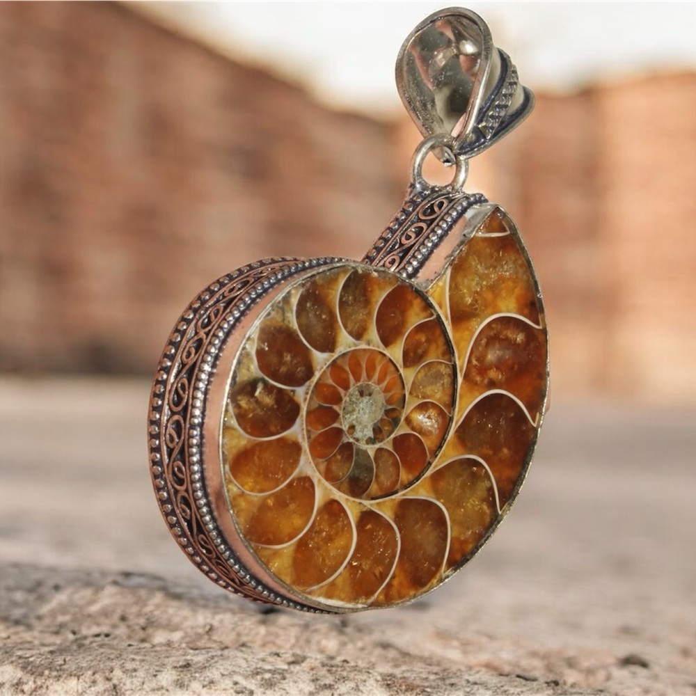 Real Ammonite Fossil Pendant